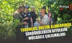 Turunçgil Üretim Alanlarında Sürdürülebilir Biyolojik Mücadele Çalışmaları