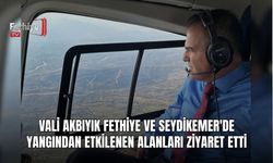 Vali Akbıyık Fethiye Ve Seydikemer'de Yangından Etkilenen Alanları Ziyaret Etti
