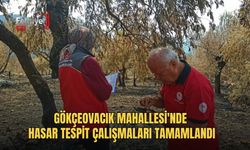 Gökçeovacık Mahallesi'nde Hasar Tespit Çalışmaları Tamamlandı