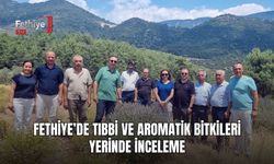 Fethiye’de Tıbbi Ve Aromatik Bitkileri Yerinde İnceleme