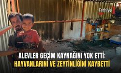 Alevler Geçim Kaynağını Yok Etti: Hayvanlarını Ve Zeytinliğini Kaybetti