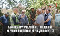 Yangında Hayvanlarını Ve Tarlalarını Kaybeden Üreticilere Büyükşehir Desteği