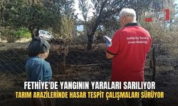 Fethiye'de Yangının Yaraları Sarılıyor