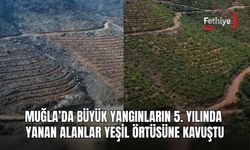 Muğla’da Büyük Yangınların 5. Yılında Yanan Alanlar Yeşil Örtüsüne Kavuştu