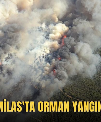 Milas'ta Orman Yangını
