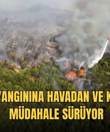 Milas Yangınına Havadan Ve Karadan Müdahale Sürüyor