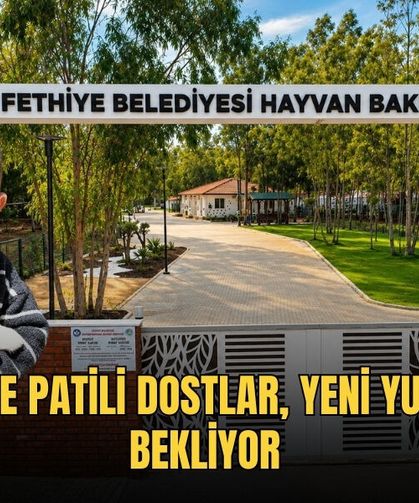 Fethiye'de Patili Dostlar, Yeni Yuvalarını Bekliyor