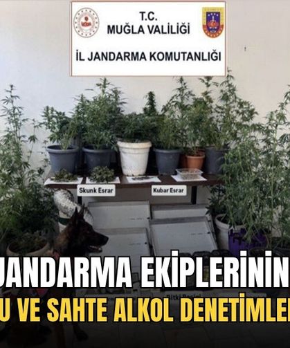 Jandarma Ekiplerinin Uyuşturucu Ve Sahte Alkol Denetimleri Sürüyor