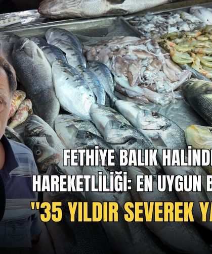Fethiye Balık Halinde Sezon Hareketliliği: En Uygun Balık 250 TL