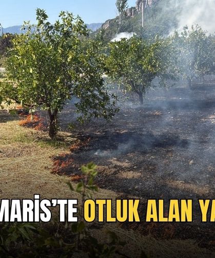 Marmaris’te Otluk Alan Yangını