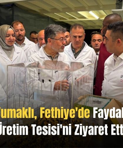 Bakan Yumaklı, Fethiye'de Faydalı Böcek Üretim Tesisi'ni Ziyaret Etti