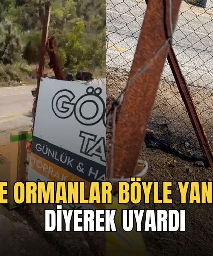 'İşte Ormanlar Böyle Yanıyor' Diyerek Uyardı