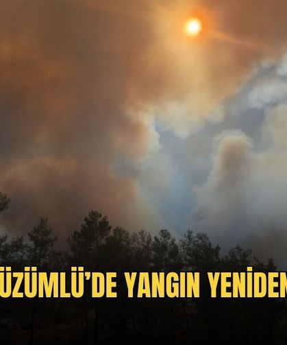Fethiye Üzümlü’de Yangın Yeniden Başladı