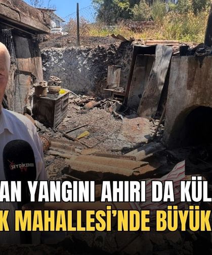 Orman Yangını Ahırı Da Kül Etti: Çatak Mahallesi’nde Büyük Kayıp