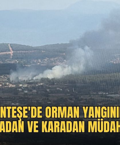 Menteşe'de Orman Yangınına Havadan Ve Karadan Müdahale