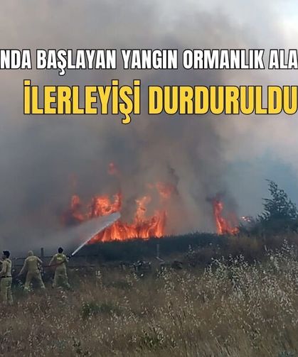 Zirai Alanda Başlayan Yangın Ormanlık Alana Sıçradı, İlerleyişi Durduruldu