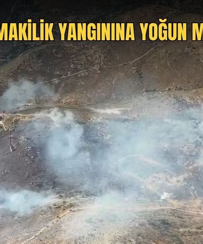 Otluk ve Makilik Yangınına Yoğun Müdahale