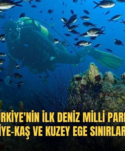 Türkiye'nin İlk Deniz Milli Parkı Fethiye-Kaş Ve Kuzey Ege Sınırlarında