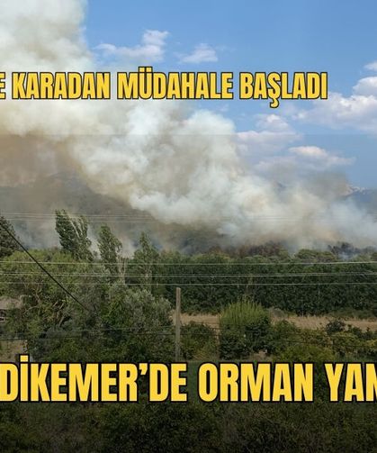 Seydikemer’de Orman Yangını