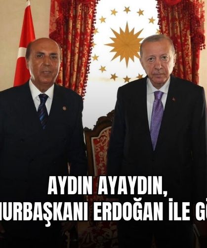 Aydın Ayaydın, Cumhurbaşkanı Erdoğan İle Görüştü