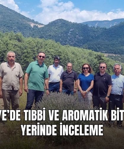 Fethiye’de Tıbbi Ve Aromatik Bitkileri Yerinde İnceleme