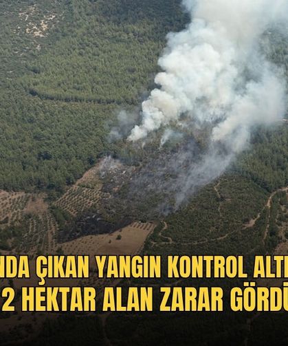 Zirai Alanda Çıkan Yangın Kontrol Altına Alındı: 2 Hektar Alan Zarar Gördü