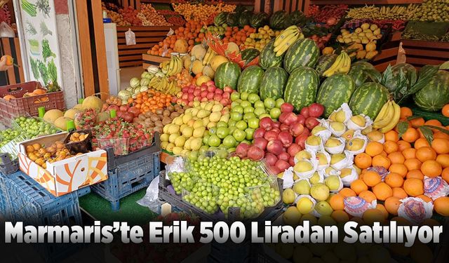 Marmaris’te Erik 500 Liradan Satılıyor