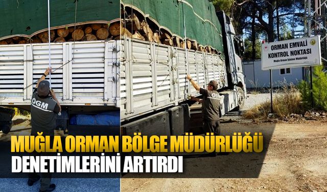 Muğla Orman Bölge Müdürlüğü Denetimlerini Artırdı