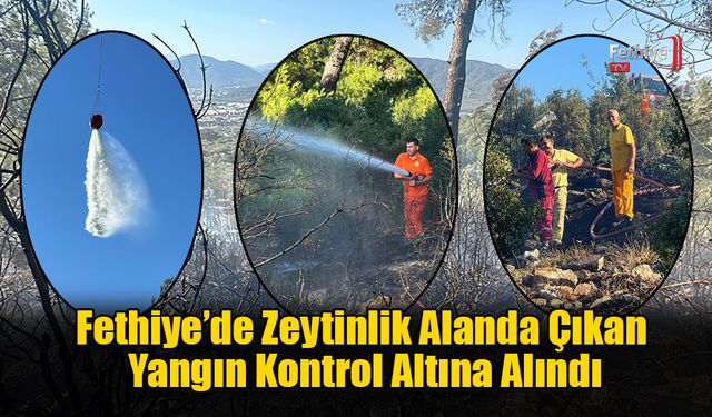 Fethiye’de Zeytinlik Alanda Çıkan Yangın Kontrol Altına Alındı
