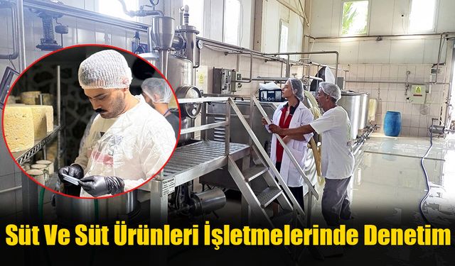 Süt Ve Süt Ürünleri İşletmelerinde Denetim