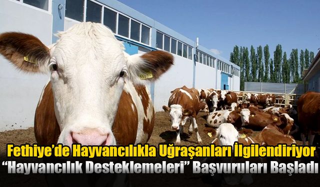 Fethiye’de Hayvancılıkla Uğraşanları İlgilendiriyor