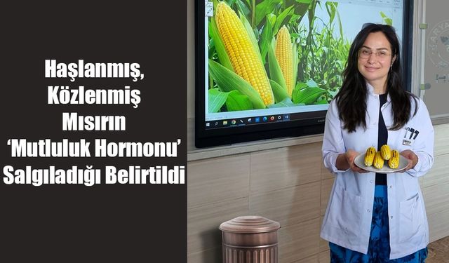 Haşlanmış Ve Közlenmiş Mısırın ‘Mutluluk Hormonu’ Salgıladığı Belirtildi