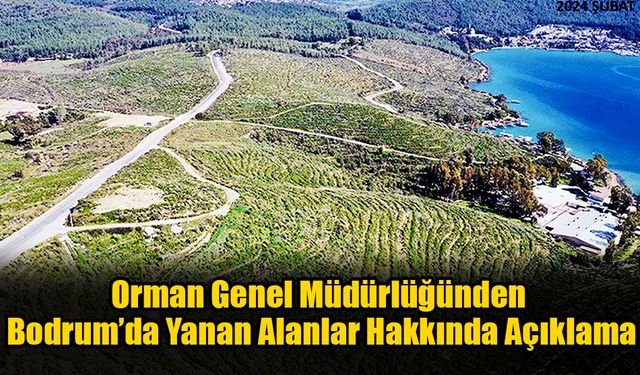 Orman Genel Müdürlüğünden Yanan Alanlar Hakkında Açıklama