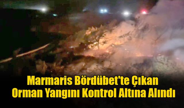 Marmaris'te Çıkan Orman Yangını Kontrol Altına Alındı