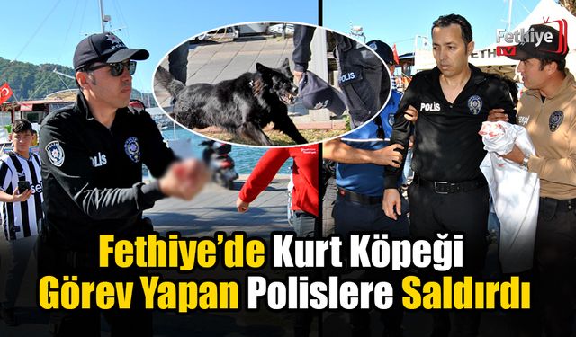 Kurt Köpeğinin Elinden Isırdığı Polis Hastaneye Kaldırıldı