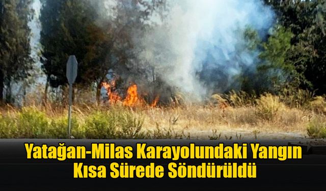 Yatağan-Milas Karayolundaki Yangın Söndürüldü