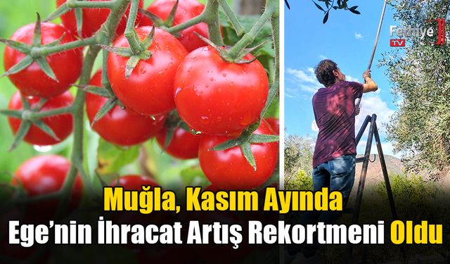 Muğla, Kasım Ayında Ege’nin İhracat Artış Rekortmeni Oldu