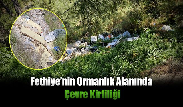 Fethiye’nin Ormanlık Alanında Çevre Kirliliği