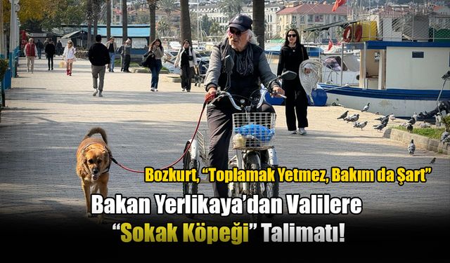 Bakan Yerlikaya’dan Valilere “Sokak Köpeği” Talimatı!