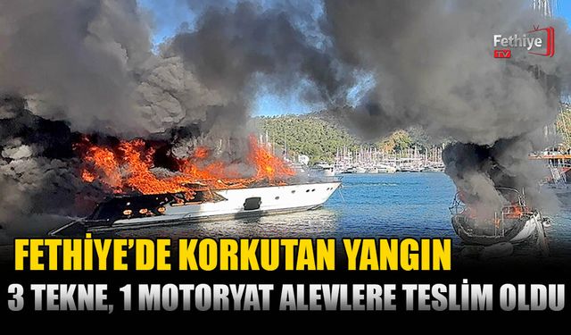 Fethiye'de Korkutan Yangın