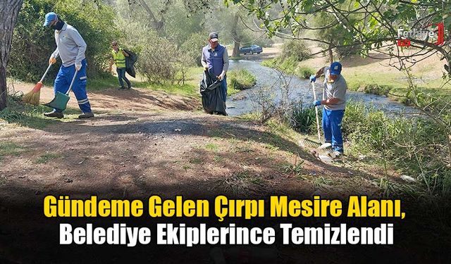 Gündeme Gelen Çırpı Mesire Alanı, Belediye Ekiplerince Temizlendi