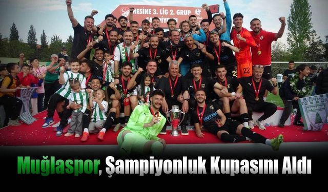 Spor
