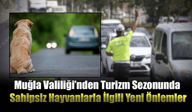 Muğla Valiliği’nden Turizm Sezonunda Sahipsiz Hayvanlarla İlgili Yeni Önlemler