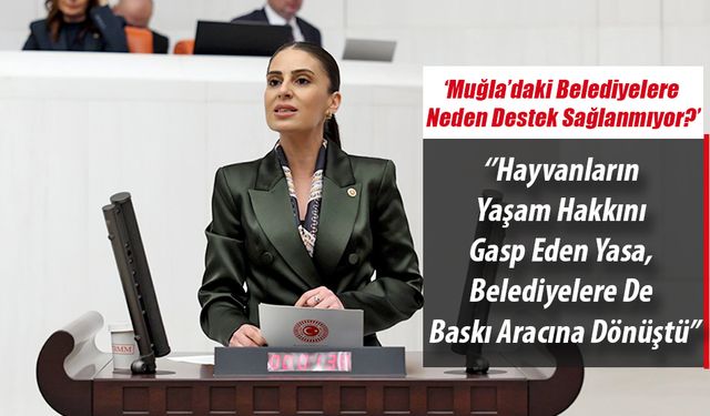 Milletvekili Özcan: ''Muğla’daki Belediyelere Neden Destek Sağlanmıyor?''