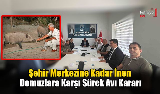 Şehir Merkezine Kadar İnen Domuzlara Karşı Sürek Avı Kararı