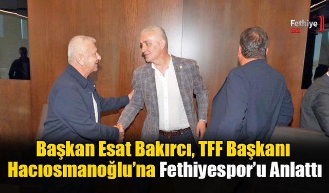Spor