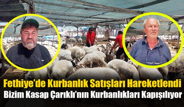 Fethiye’de Kurbanlık Satışları Hareketlendi