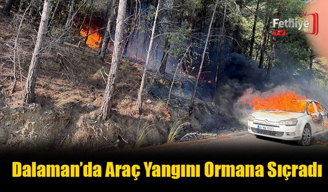 Dalaman’da Araç Yangını Ormana Sıçradı