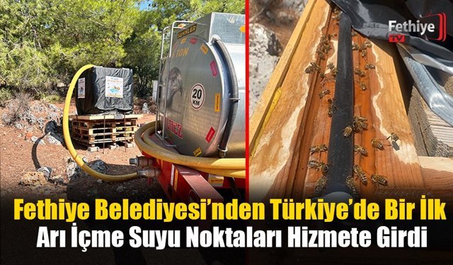 Fethiye Belediyesi’nden Türkiye’de Bir İlk: Arı İçme Suyu Noktaları Hizmete Girdi