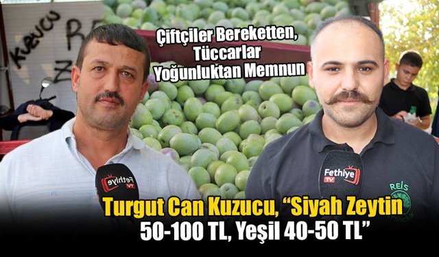 Fethiye’de Zeytin Hasadı Başladı